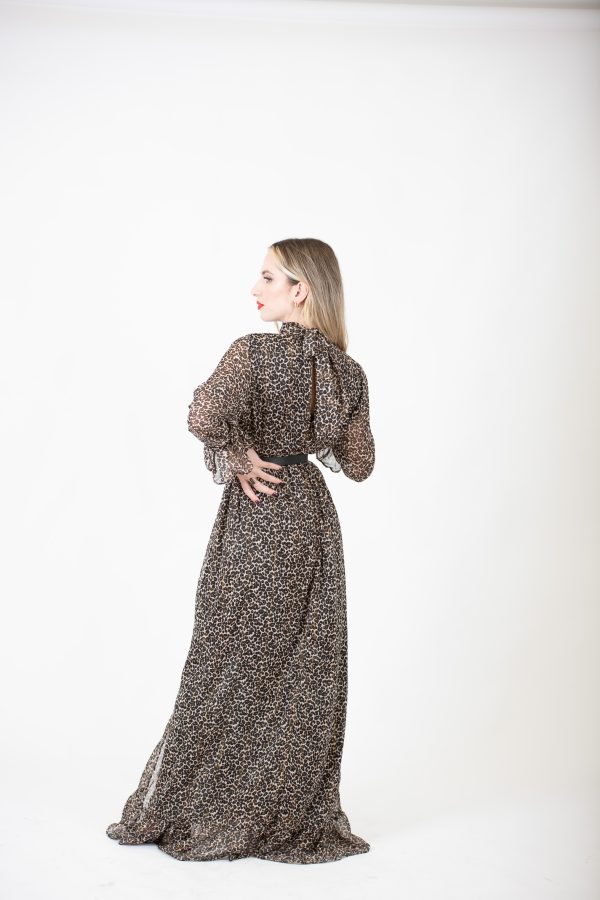 "LEO" Dress - Image 6